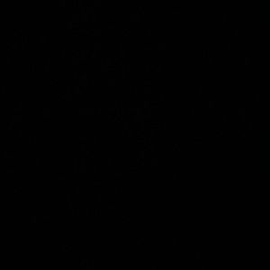 Meet your Posher, Noah